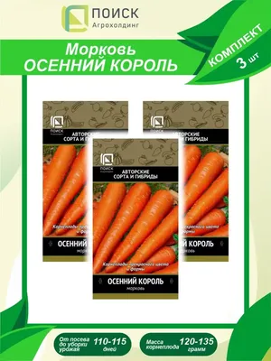 Семена Первые семена Морковь Осенний Король, 3 г Первые семена 13717261  купить за 124 ₽ в интернет-магазине Wildberries
