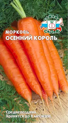 Семена Первые семена Морковь Осенний Король 020179-1Семена - выгодная цена,  отзывы, характеристики, фото - купить в Москве и РФ