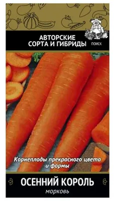 Морковь Сембат Осенний король - купить по выгодным ценам в  интернет-магазине OZON (312296000)