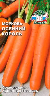 Семена морковь Agroni Осенний король 1 уп. - отзывы покупателей на  Мегамаркет