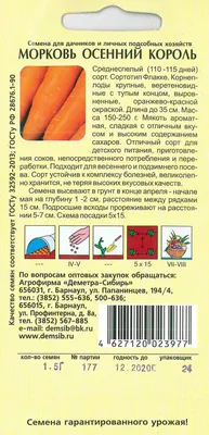 Морковь ЛЕТО LER13880182 - купить по выгодным ценам в интернет-магазине  OZON (595123214)
