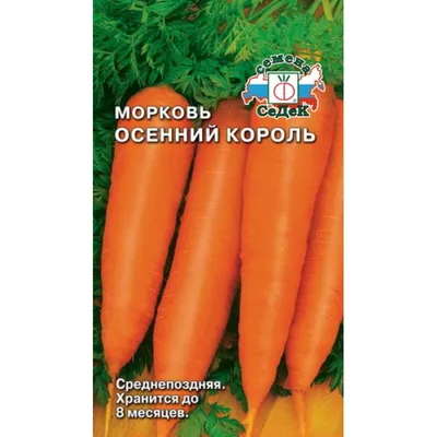 Купить Морковь Осенний король 2 гр б.п. / АгроСемФонд/Семена овощей/Морковь/ Морковь семена / | V4 Market