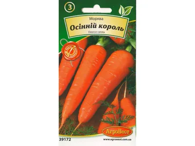 Семена Морковь Осенний король х 3 уп ПОИСК 142666418 купить за 189 ₽ в  интернет-магазине Wildberries