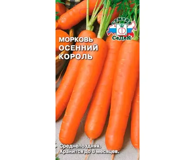 Семена Морковь, Осенний король, 300 шт, гранулы, цветная упаковка, Гавриш в  Белгороде: цены, фото, отзывы - купить в интернет-магазине Порядок.ру