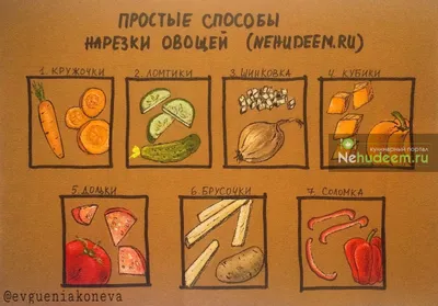 Стенд \"Формы нарезки овощей\" купить в Москве