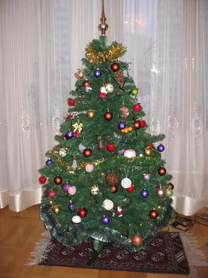 Это главная елка нашего дома. . Елка и новогодний декор. Фотоальбом  участника Александрина