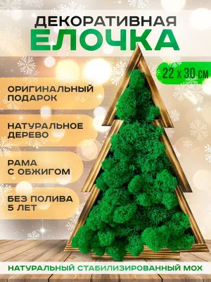 Декоративная елка 60см. Елка искусственная зеленая офисная новогодняя 60  см. Новогодняя елка на стол (ID#1705539085), цена: 340 ₴, купить на Prom.ua