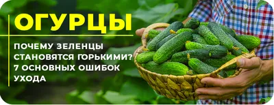 Где «Пятёрочка» делает маринованные огурчики для СТМ? | Retail.ru