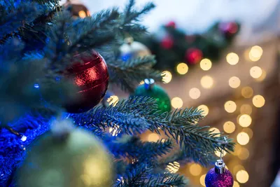 Купить новогоднюю елку \"Декоративная\" по доступной цене с доставкой в  Москве и области в интернет-магазине Город Букетов