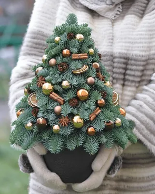 Купить новогоднюю елку \"Санта\" по доступной цене с доставкой в Москве и  области в интернет-магазине Город Букетов