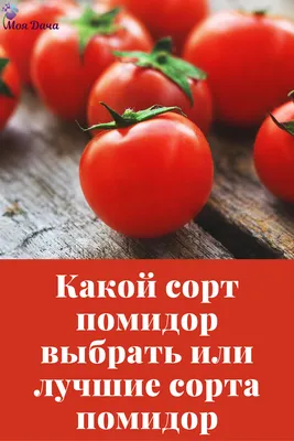 САМЫЕ УРОЖАЙНЫЕ СОРТА ТОМАТОВ (лучшие сорта томатов) - YouTube