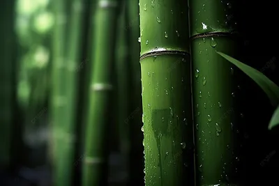 Бамбуковые обои НАТУР 11 мм 200 см. Бамбуковое полотно.