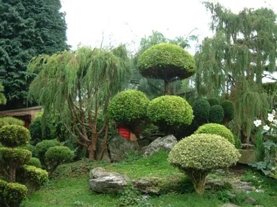 Создание японского сада своими руками