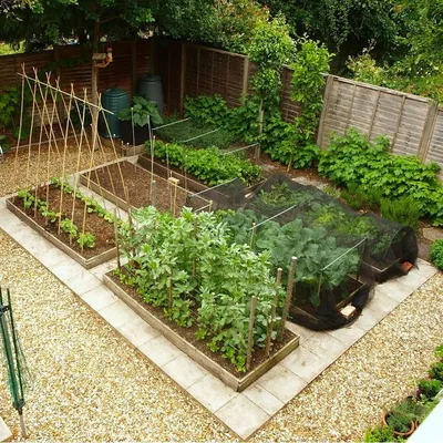 Друзья, как вам такое оформление декоративного огорода? ❤️ | Urban garden  design, Vegetable garden design, Garden design layout