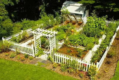Дизайн сада и огорода на даче - 56 фото