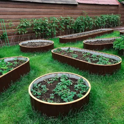 Садовые идеи | Проекты для сада, Сад, Огород