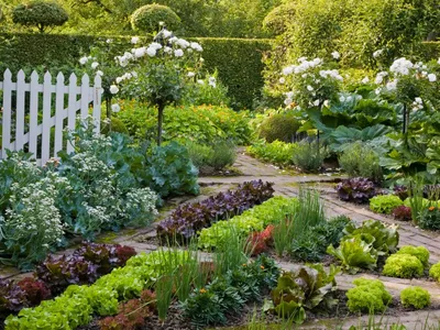 Как правильно спланировать сад или огород в частном доме? | Блог компании  DSK