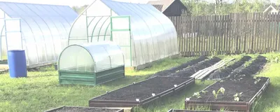How to build a polytunnel. Backyard greenhouse ideas - YouTube