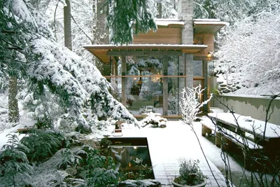 Зимний сад: лучшие проекты для обустройства в частном доме и квартире зимнего  сада. Пошаговая инструкция, как создать и красиво оформить