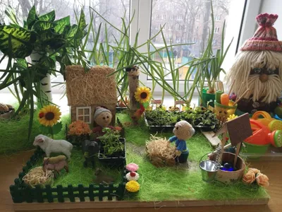 Огород на окне в детском саду фото фотографии