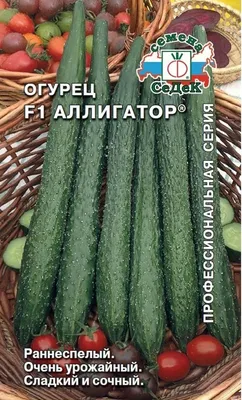 Огурец Аллигатор F1 0.5 г Gl Seeds (ID#1075057194), цена: 8 ₴, купить на  Prom.ua