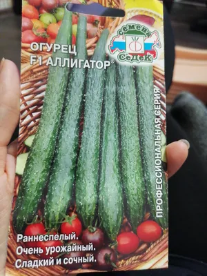 Огурцы Проверенные семена Аллигатор - купить по выгодным ценам в  интернет-магазине OZON (804817514)