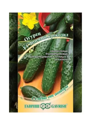 огурцы Agurkai - mydobro seeds