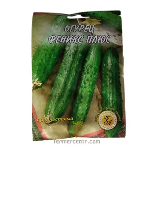 Семена огурец Русский огород Феникс 301140 1 уп. - отзывы покупателей на  Мегамаркет