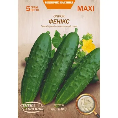 Огурец Феникс 640 1г : Нк Елит - семена купить в Киеве, Украине фото,  отзывы, описание - Дачник