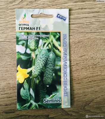 Семена огурец Герман F1 10 сем GL Seeds купить в Украине с доставкой | Цена  в Svitroslyn.ua