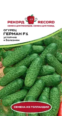 Огурец Герман F1 10 шт Gl Seeds (ID#524067218), цена: 31 ₴, купить на  Prom.ua
