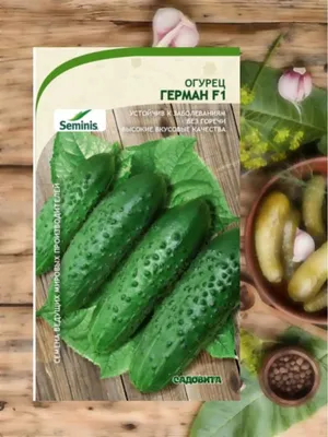Семена овощей Поиск огурец Герман F1 5 шт. по цене 80 ₽/шт. купить в Твери  в интернет-магазине Леруа Мерлен