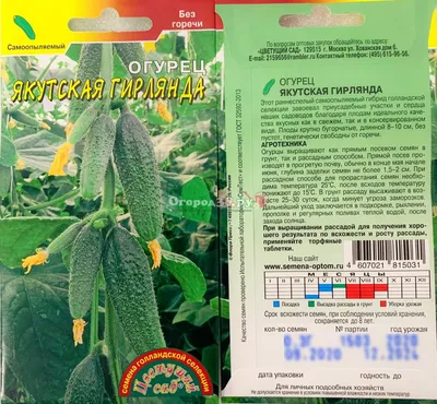 Семена \"Огурец Гирлянда\" купить по цене 99 ₽ в интернет-магазине  KazanExpress