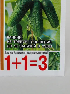 Огурец Изумрудные сережки F1 корнишон - семена огурцов купить в Астане с  доставкой почтой по Казахстану