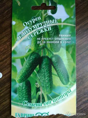 овощные - Продукция - Агрофирма «Наш Сад»