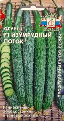 Огурцы Проверенные семена Серёжки20 - купить по выгодным ценам в  интернет-магазине OZON (806117948)
