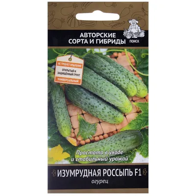 Самоопыляемые огурцы - купить семена из питомника с доставкой по Беларуси