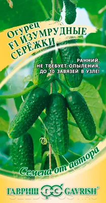 Огурец Изумрудные сережки F1, 10 шт. Семена от автора, купить в интернет  магазине Seedspost.ru