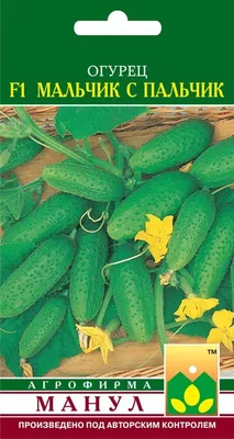 Огурцы Изумрудные сережки, характеристика и выращивание