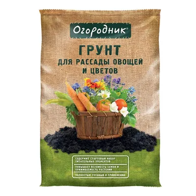 Семена Огурца ПОИСК Вкус детства 12 шт — цена в Оренбурге, купить в  интернет-магазине, характеристики и отзывы, фото