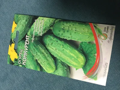 Семена Огурец Конкурент 15 шт 3 г - отзывы покупателей на Мегамаркет
