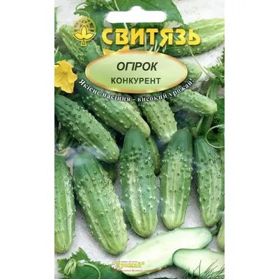Семена Огурец \"Конкурент\", 0,5 г (4662708) - Купить по цене от 8.60 руб. |  Интернет магазин SIMA-LAND.RU