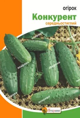 Семена огурец \"Конкурент\" для открытого грунта пчелоопыляемый купить по  цене 38.09 ₽ в интернет-магазине KazanExpress