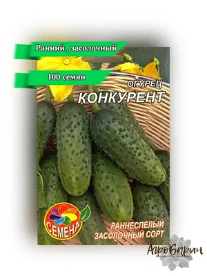 Семена Огурец Конкурент 200% купить с доставкой в МЕГАСТРОЙ Россия