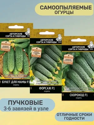 Семена партенокарпических гибридов огурцов для открытого грунта – купить  оптом в Москве
