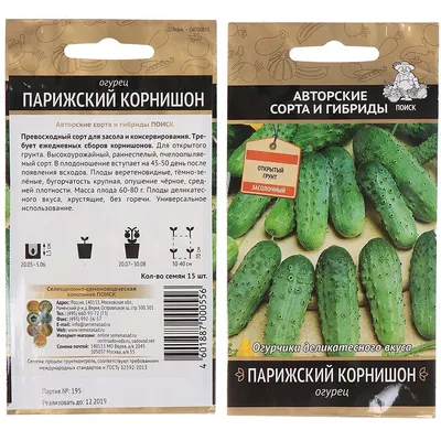 Огурцы Семена Алтая Пучковые-СА-6 - купить по выгодным ценам в  интернет-магазине OZON (369671674)