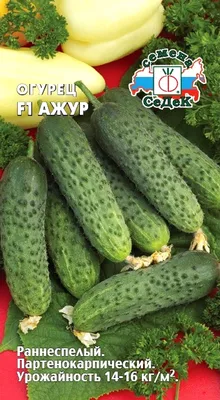 Огурец Муравейник F1 10шт, семена | Купить в интернет магазине Аэлита