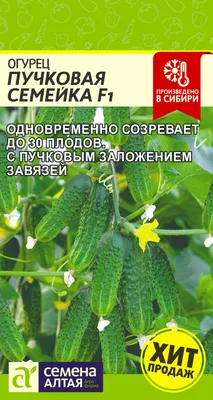 Семена огурец Семена для Сибири Конни F1 1 уп. - отзывы покупателей на  Мегамаркет