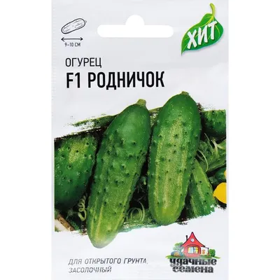 Семена огурцов Родничок купить в Украине | Веснодар