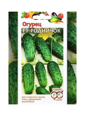 Купить семена дыни Ананасная в банке 500 гр крупным и мелким оптом,  недорого, от производителя, цена в интернет магазине Агролиния, Украина,  Одесса.